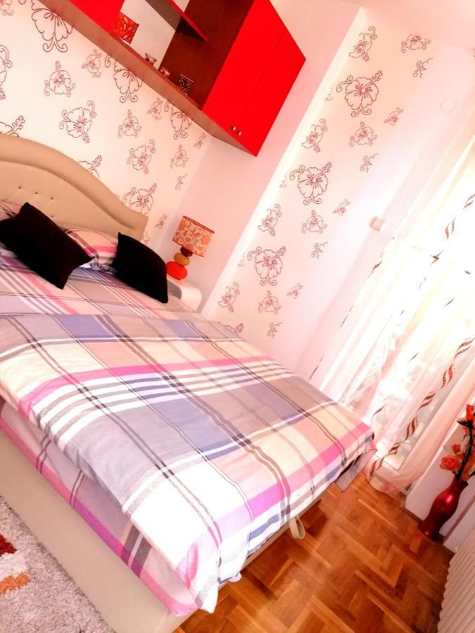 Apartman Nena Nova Varoš エクステリア 写真