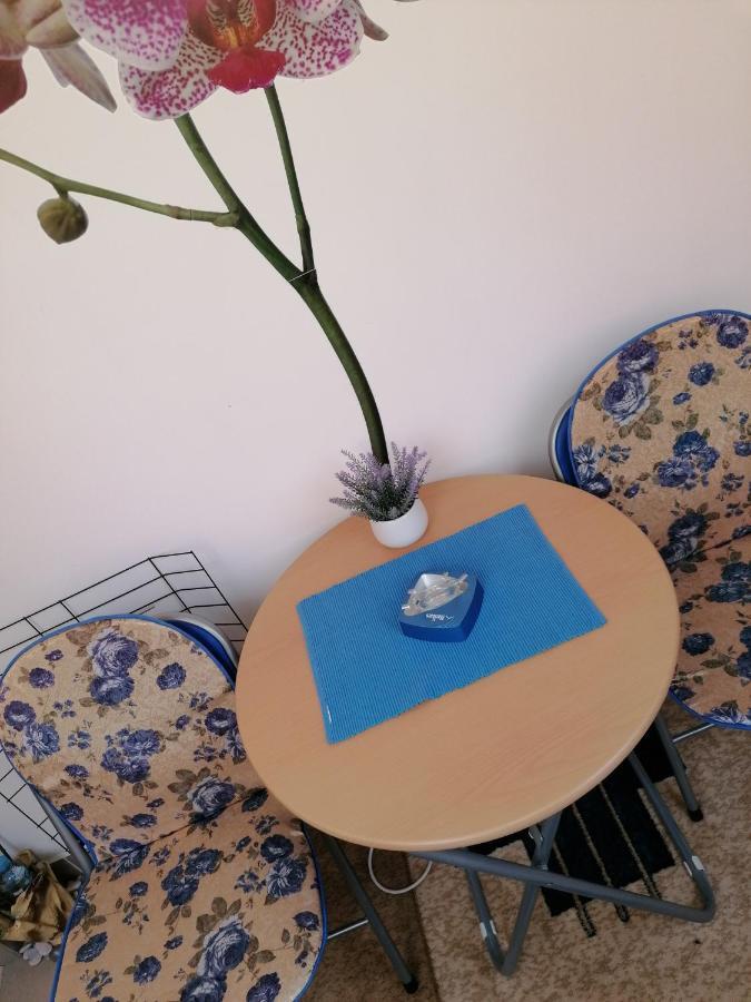 Apartman Nena Nova Varoš エクステリア 写真